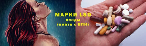 ПСИЛОЦИБИНОВЫЕ ГРИБЫ Аркадак