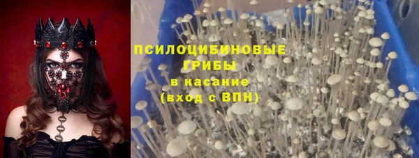ПСИЛОЦИБИНОВЫЕ ГРИБЫ Аркадак
