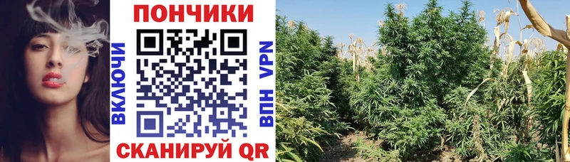 продажа наркотиков  Минусинск  ОМГ ОМГ онион  Канабис марихуана 